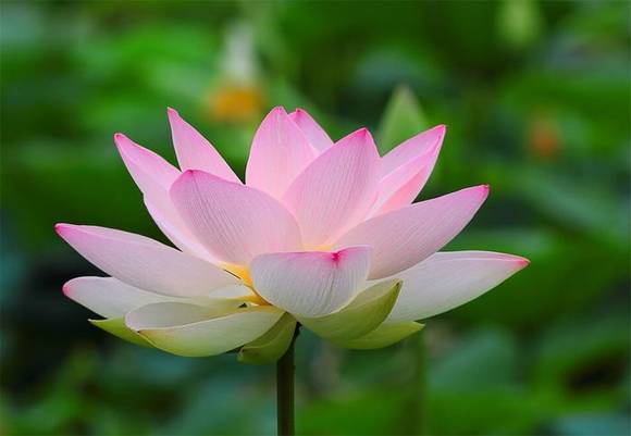 �������л�