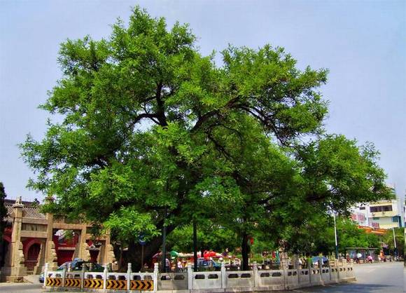 �����л�/����