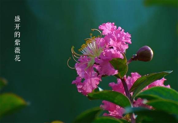 �����л�/����