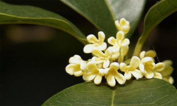 �����л�/����