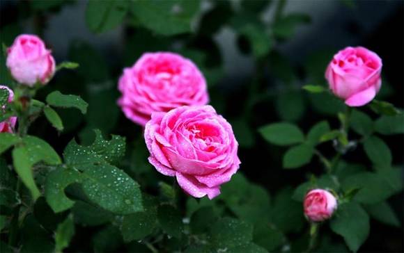 �����л�/����