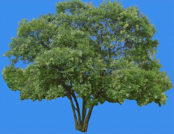 �����л�/����