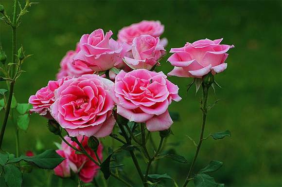 �����л�/����