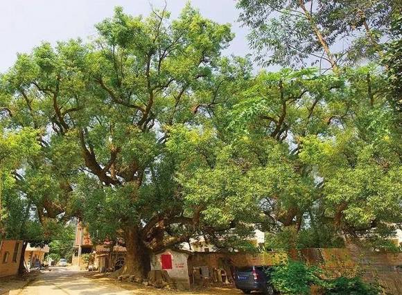 �����л�/����