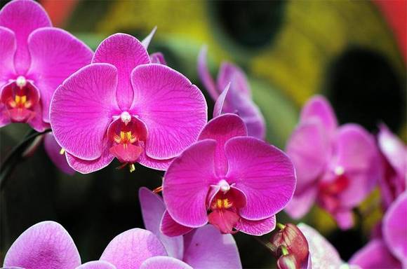 �����л�/����/����