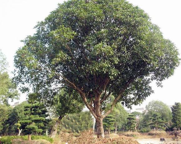 �����л�/����/����