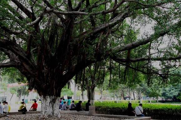 �����л�/����