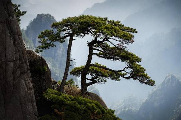 ��ɽ�л�/����/����