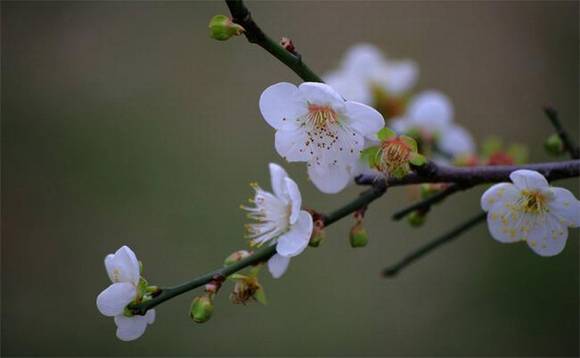 ̩���л�/����