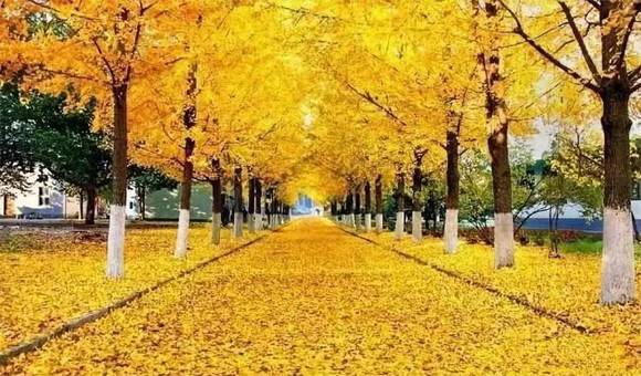 ̩���л�/����