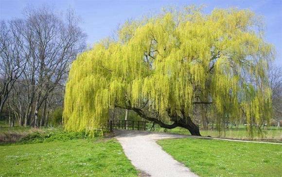 �����л�/����