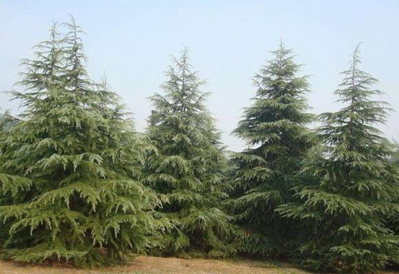 �Ͼ��л�/����