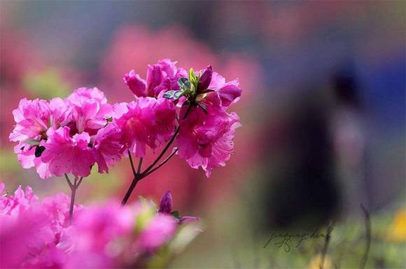 �����л�