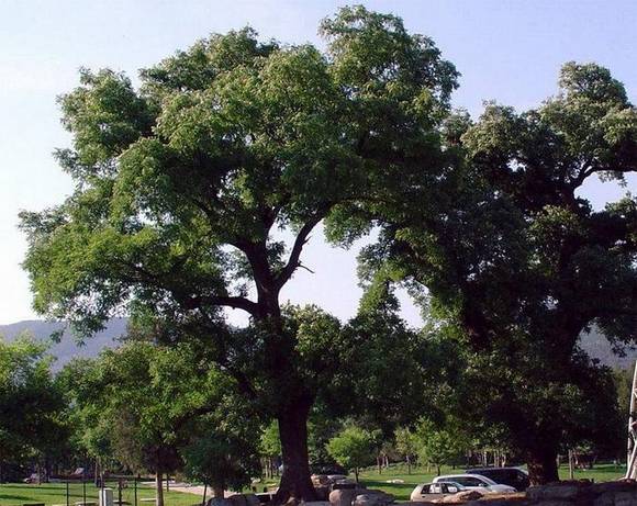 �����л�/����