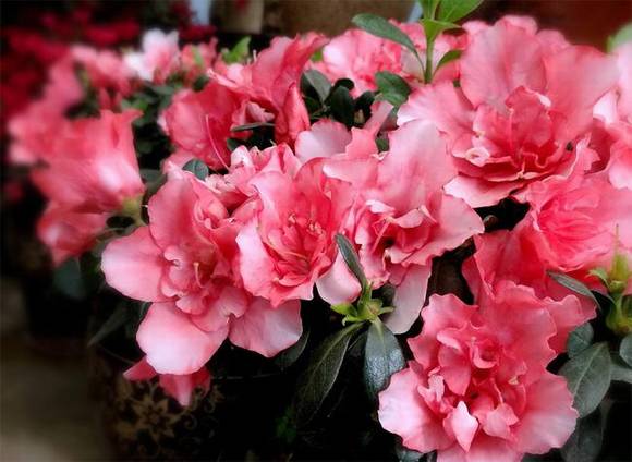 �����л�/����