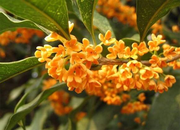 �����л�/����/�б�