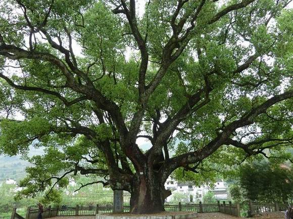 �����л�/����