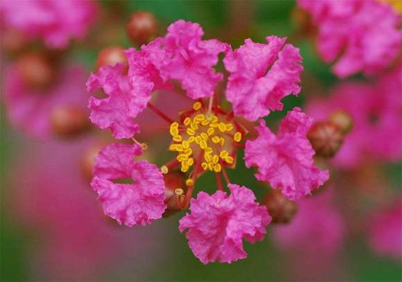 �����л�/����