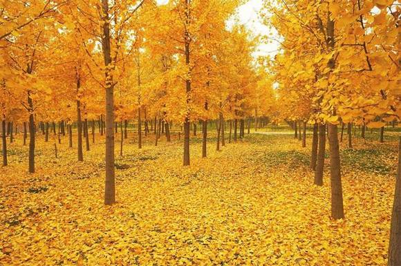 �����л�/����