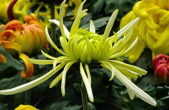 ��ͨ�л�/����