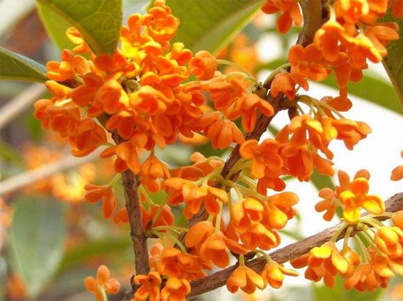 �����л�/����