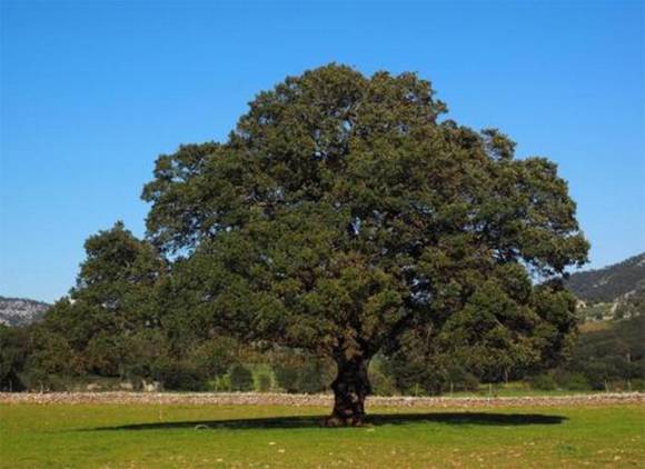 ���л�/����