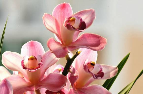 �����л�/����