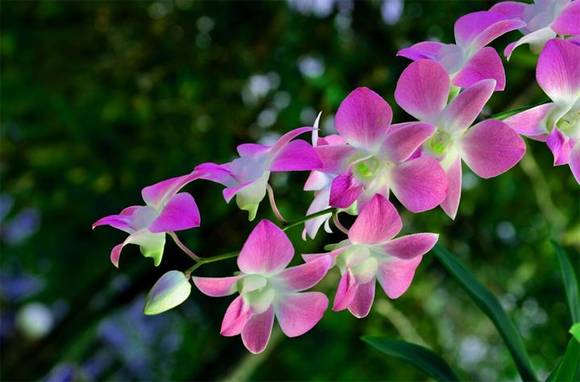 �����л�/����