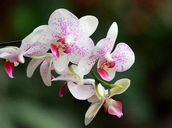 �����л�/����