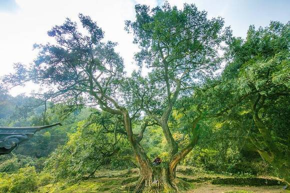 �����л�/����