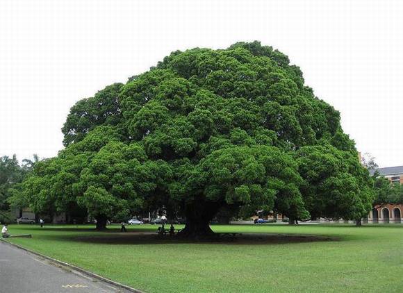 �����л�/����