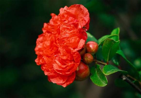 �����л�/����