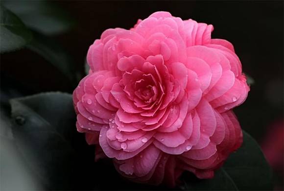 �����л�/����