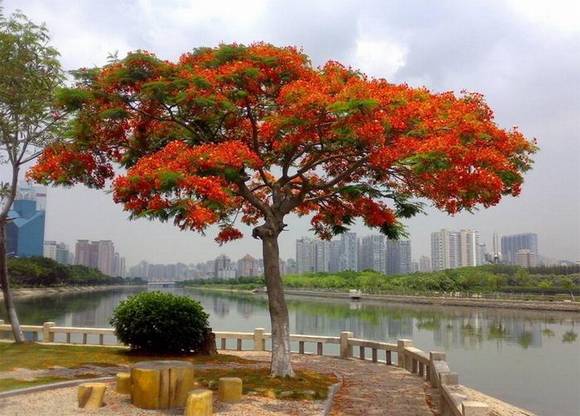 �����л�/����