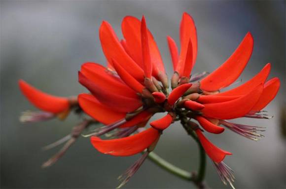 Ȫ���л�/����/�б�