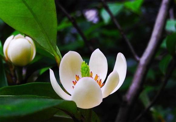 Ȫ���л�/����/�б�