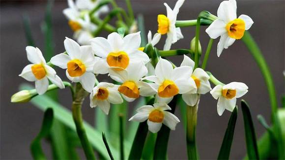 �����л�/����