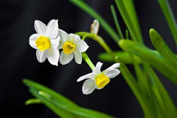 �����л�/����