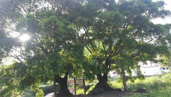 �����л�/����