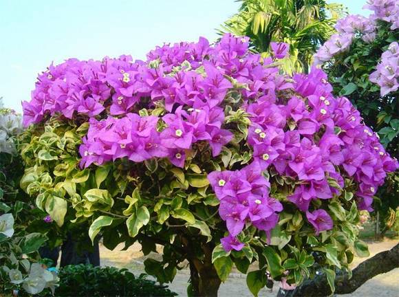 �����л�/����