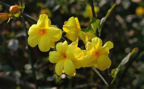 �����л�/����