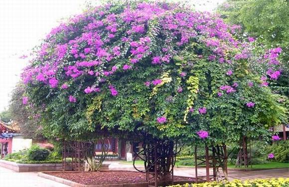 �����л�/����/����