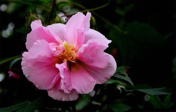 �����л�/����