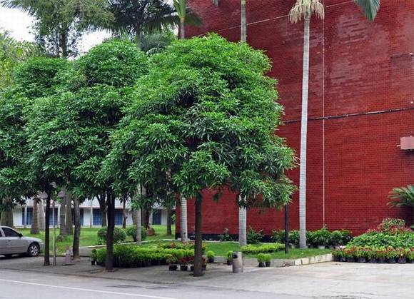 �����л�/����