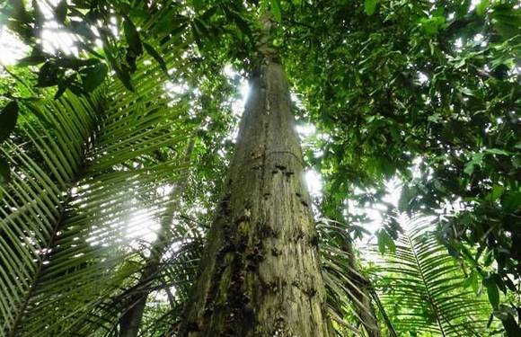 ̨���л�/����/����