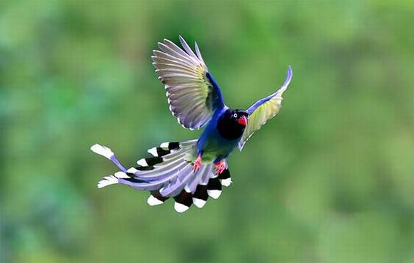 ̨���л�/����/����