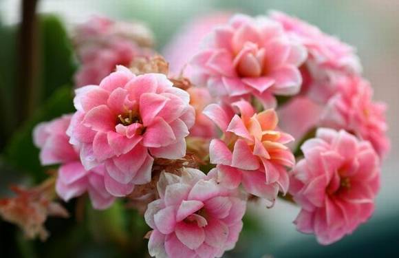 ̨���л�/����/����