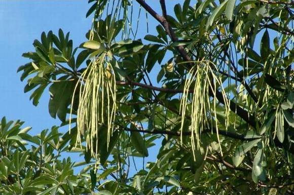 ̨���л�/����/����