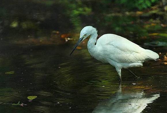 ̨���л�/����/����