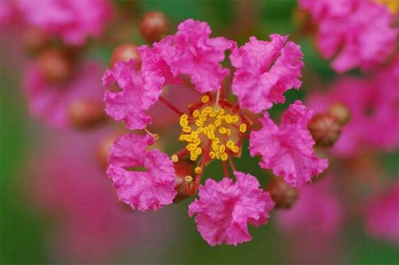 �Թ��л�/����/�л�